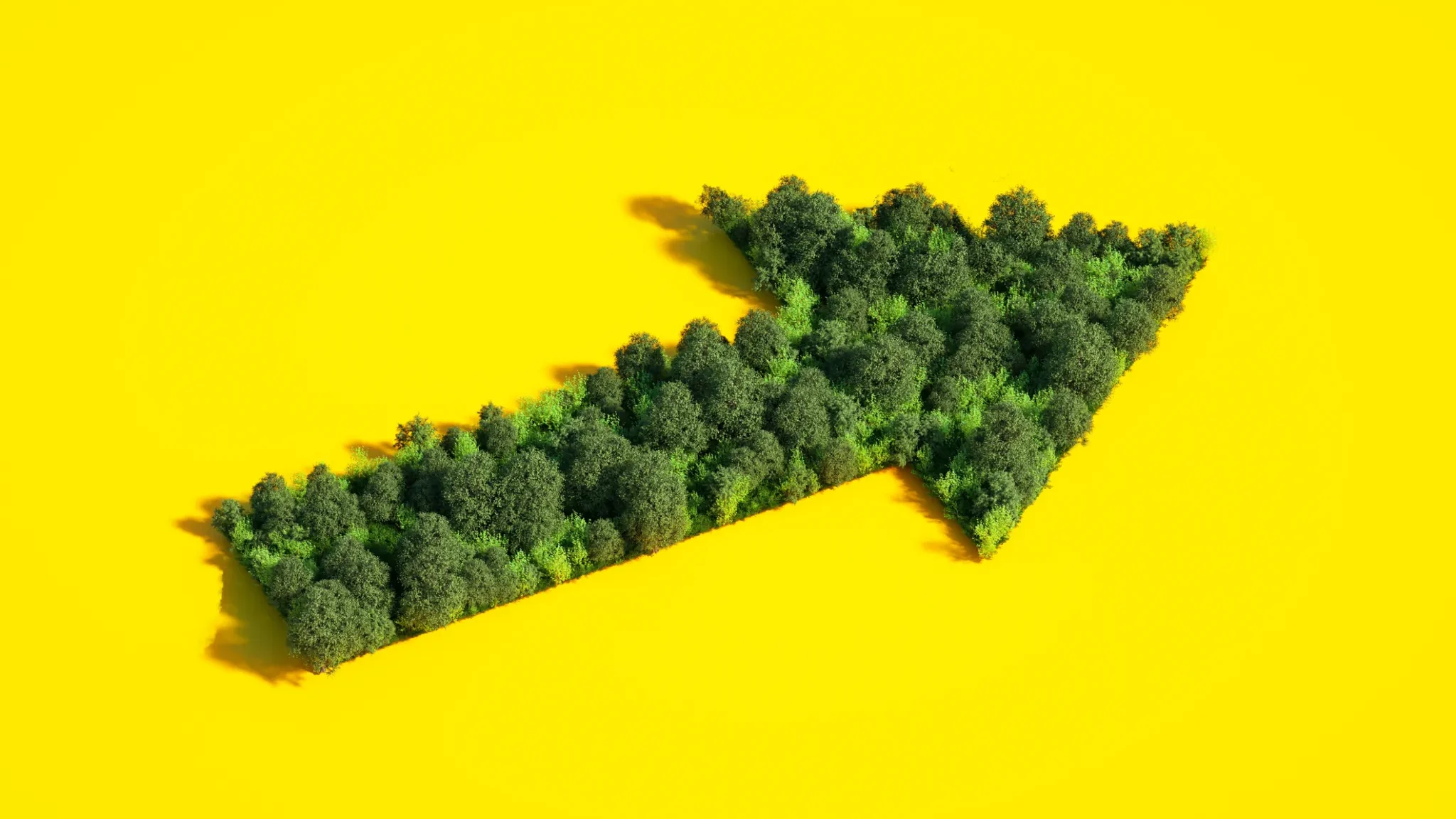 TechCrunch: Climate tech investment roars back with an $8.1B start to 2024