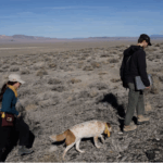 Geothermal Wildcatter Zanskar, Which Uses AI to Find Heat, Raises $115 Million