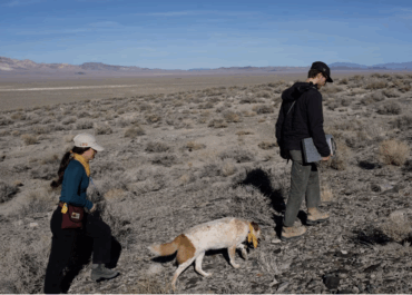 Geothermal Wildcatter Zanskar, Which Uses AI to Find Heat, Raises $115 Million